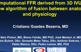 TCT 72: Computational Fractional Flow Reserve Derived From Three-Dimensional Intravascular Ultrasound: A New Algorithm of Fusion Between Anatomy and Physiology