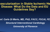 Revascularization in Stable Ischemic Heart Disease: What Do the Data and EU Guidelines Say?