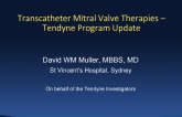 Established TMVR 3: Tendyne - Device Description, Strengths and Weaknesses, and Updated Summary Outcomes