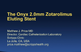 Small Vessel Stenting Snapshot 1: The Onyx 2.0 Zotarolimus-Eluting Stent