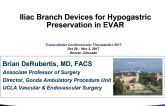Iliac Branch Devices for Hypogastric Preservation During EVAR