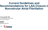 Current Guidelines and Recommendations for LAA Closure in Nonvalvular Atrial Fibrillation