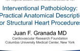 Interventional Pathobiology: A Practical Anatomical Description for SHD Procedures