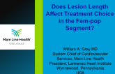 Does Lesion Length Affect Treatment Choice in the Fem-pop Segment?