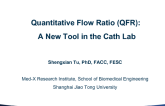 Quantitative Flow Ratio: A New Tool in the Cath Lab