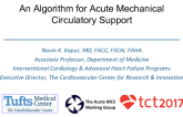 An Algorithm for Mechanical Circulatory Support