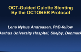 Case #6: OCT-Guided Culotte By the OCTOBER Protocol