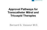Approval Pathways for Transcatheter Mitral and Tricuspid Valve Therapies