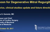 Harpoon for Degenerative MR: Device, Clinical Studies Update, and Future Directions