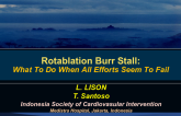 Case #2: Rotablator Burr Stall - Finding a Solution When All Efforts Fail
