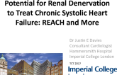 Potential for Renal Denervation to Treat Chronic Systolic Heart Failure: REACH and More