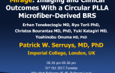 Mirage: Imaging and Clinical Outcomes With a Circular PLLA Microfiber-Derived BRS