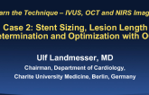 Case #2: Stent Sizing, Lesion Length Determination and Optimization by OCT (With Discussion)
