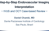 Step-By-Step Endovascular Imaging Interpretation (IVUS and OCT Case-based Review)