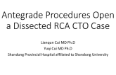 Complex Case #3: A Challenging Distal RCA CTO