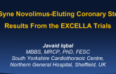 The DESyne Novolimus-Eluting Coronary Stent: Results From the Excella Trials