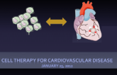 Cell Therapy 2012