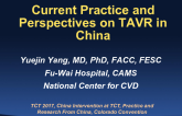 Current Practice and Perspectives on TAVR in China