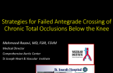 Strategies for Failed Antegrade BTK CTO Crossing