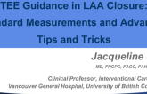TEE Guidance in LAA Closure: Standard Measurements and Advanced Tips and Tricks