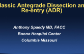 Case #1: Classic Antegrade Dissection and Re-entry (With Discussion)