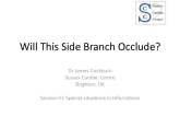 Will This Side Branch Occlude? (With Case Examples)