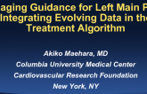 Imaging Guidance for Left Main PCI: Integrating Evolving Data in the Treatment Algorithm (With Case Examples)
