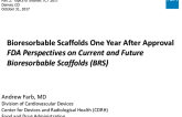 Bioresorbable Scaffolds One Year After Approval: FDA Perspectives on Current and Future BRS