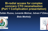 Hungary Presents: My Worst Complication During a CTO PCI
