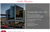 Endovascular Management of Thoracic Aortic Trauma