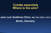 Case #4: Where Are the Wires? Culotte Essentials