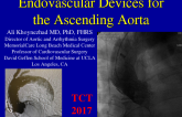 Endovascular Devices for the Ascending Aorta