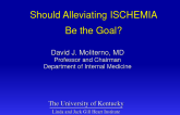 Should Alleviating ISCHEMIA Be the Goal?