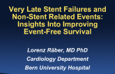 Very Late Stent Failures and Non-Stent Related Events: Insights Into Improving Event-Free Survival
