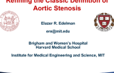 Refining the Classic Definition of Aortic Stenosis: A Dynamic Interpretation Including the Role of Ventricular Stroke Work and Vascular Impedance