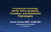 Fundamental Knowledge: Aortic Valve Anatomy, Function, and Relational Pathology
