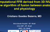 Computational Fractional Flow Reserve Derived From 3-D IVUS: A New Algorithm of Fusion Between Anatomy and Physiology