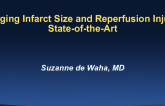 Imaging Infarct Size and Reperfusion Injury: State-of-the-Art