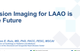 Debate: Fusion Imaging for LAA Closure Is the Future!