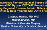 Percutaneous Femoropopliteal Bypass Using the Novel PQ Bypass DETOUR Procedure for Long-Segment Disease: Interim Safety and Efficacy Data from the DETOUR I Trial