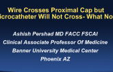 Wire Crosses Proximal Cap, but the Microcatheter Won't Cross: What Now?