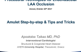 Procedural Techniques for Endovascular LAA Occlusion: Amulet Step-by-step (With Discussion)