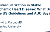 Revascularization in Stable Ischemic Heart Disease: What Do the US Guidelines and AUC Say?