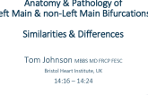 Anatomy and Pathology of Left Main and Non Left Main Bifurcations: Similarities and Differences