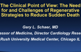 The Clinical Point of View: The Need for and Challenges of Regenerative Strategies to Reduce Sudden Death