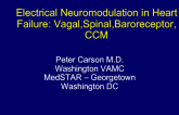 Electrical Neuromodulation (Baroceptor, Vagal, Spinal, Aortic Arch, Impulse)