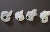 3-D Printing Opportunities Emerge for Cardiologists, Hospitals, and Device Companies Alike