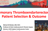 Pulmonary Thromboendarterectomy: Patient Selection and Outcomes