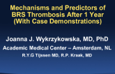 Mechanisms and Predictors of BRS Thrombosis After 1 Year (With Case Demonstrations)