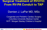 Surgical Treatment of RV Outflow Tract Obstruction: From RV-PA Conduit to TAP